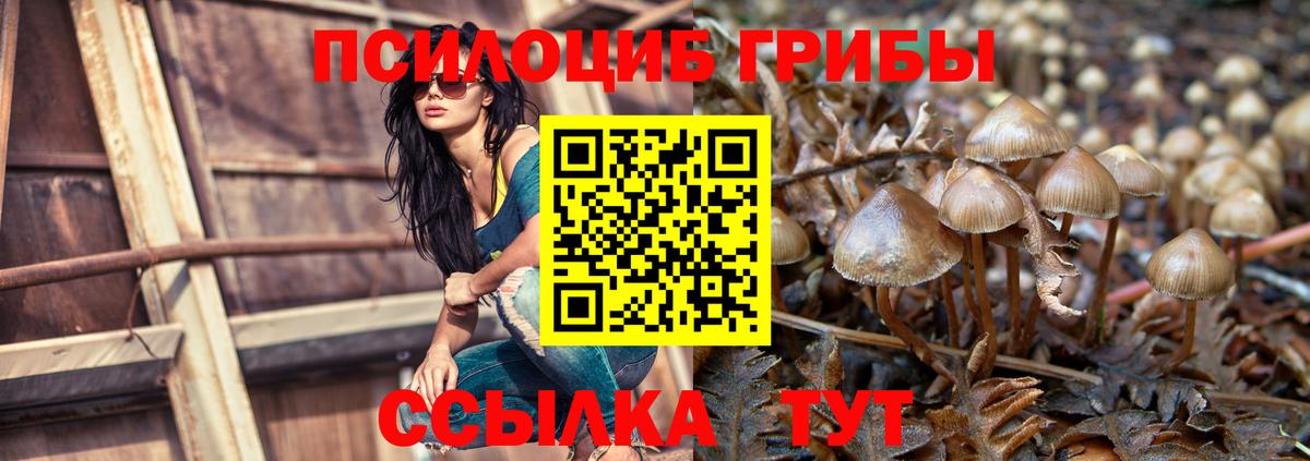 Галлюциногенные грибы Cubensis Лысьва